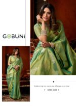 heavy-tissue-saree-texture-zoom-supriya-series