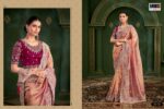 Sarvaratna 2 saree collection designer saree for ethnic wear stores