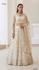 Alizeh Bridal 1083 Butterfly Net Dupatta Border Design
