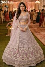 MRUDANGI DEVI catalogue 3001 heavy embroidery gown design