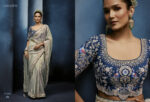 Kimora 5668 fancy saree with detailed embroidery border close view