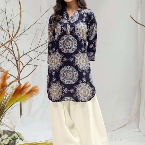 WEAVE 108 Viscose Rayon Digital Print Farsi Salwar Co-ord Set